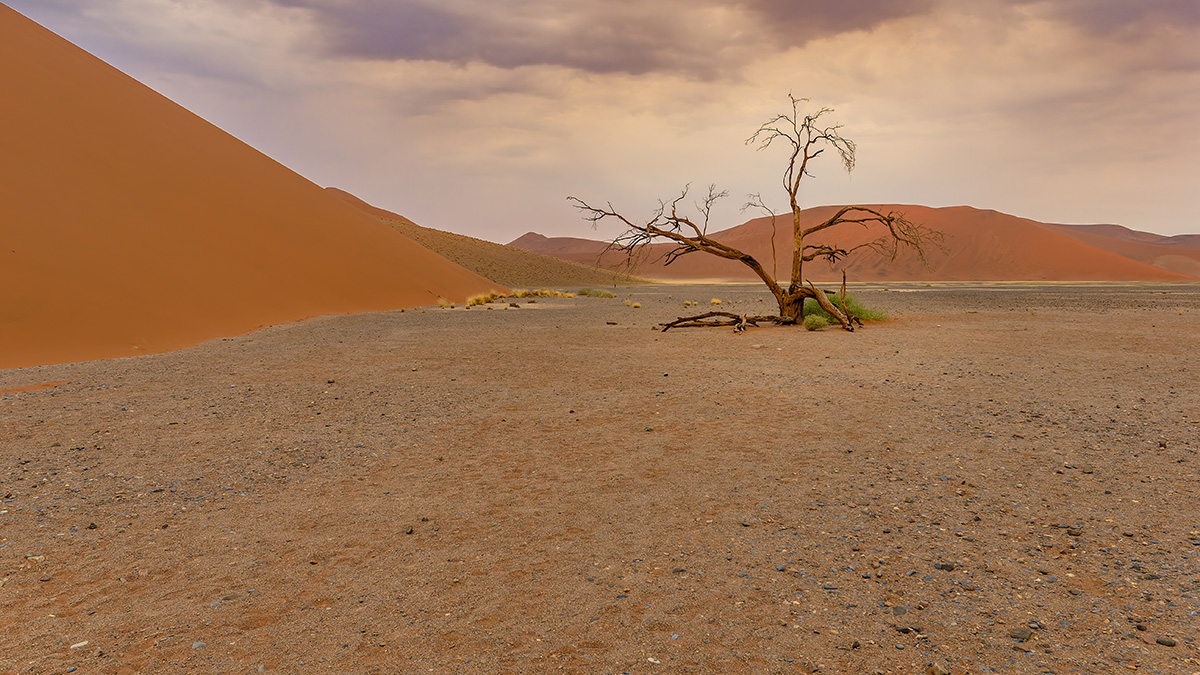 2025-09-19 052 At Dune 45.jpg