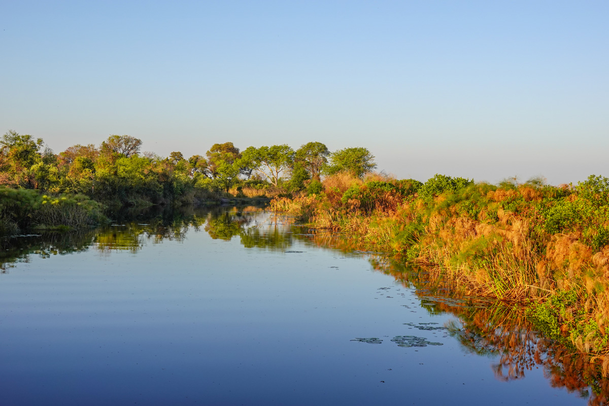 2025-09-30 059 In the Okavango Delta.jpg