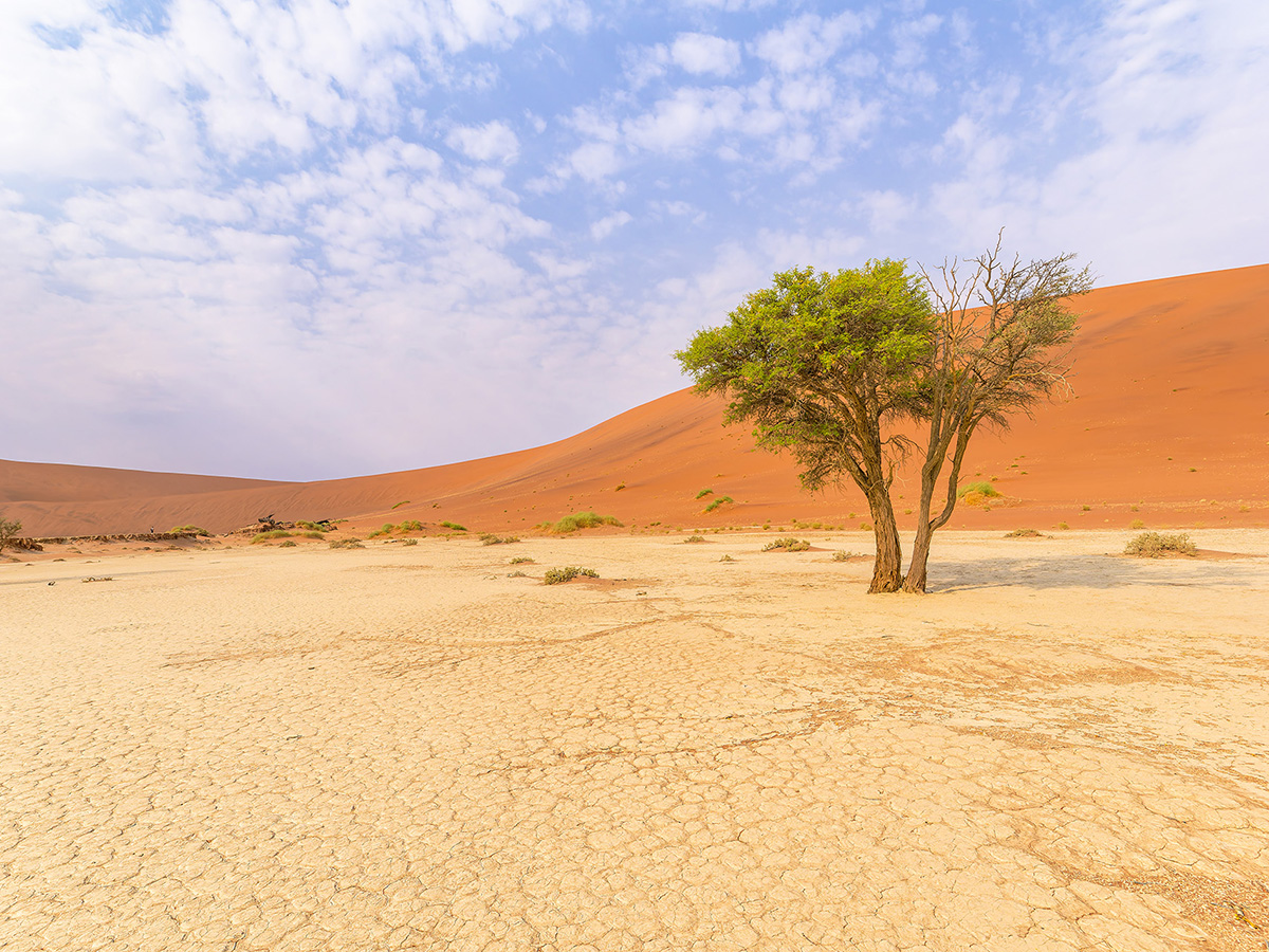 2025-09 Namibia - Sossusvlei.jpg