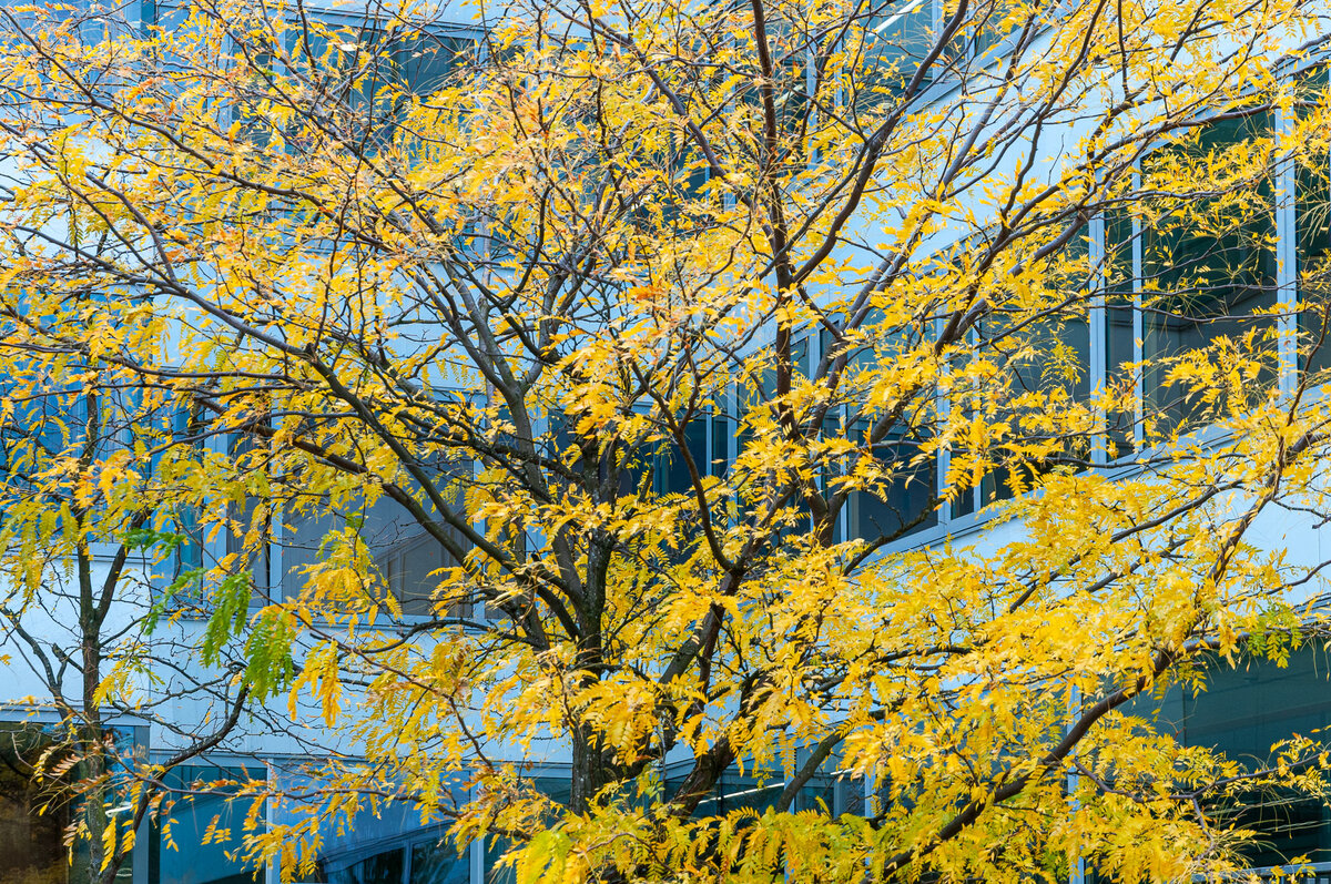 2025-10-25_Tulln_Herbstspaziergang_0002.jpg