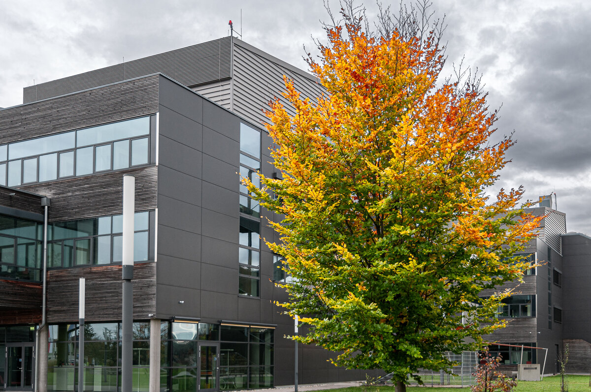 2025-10-25_Tulln_Herbstspaziergang_0004.jpg