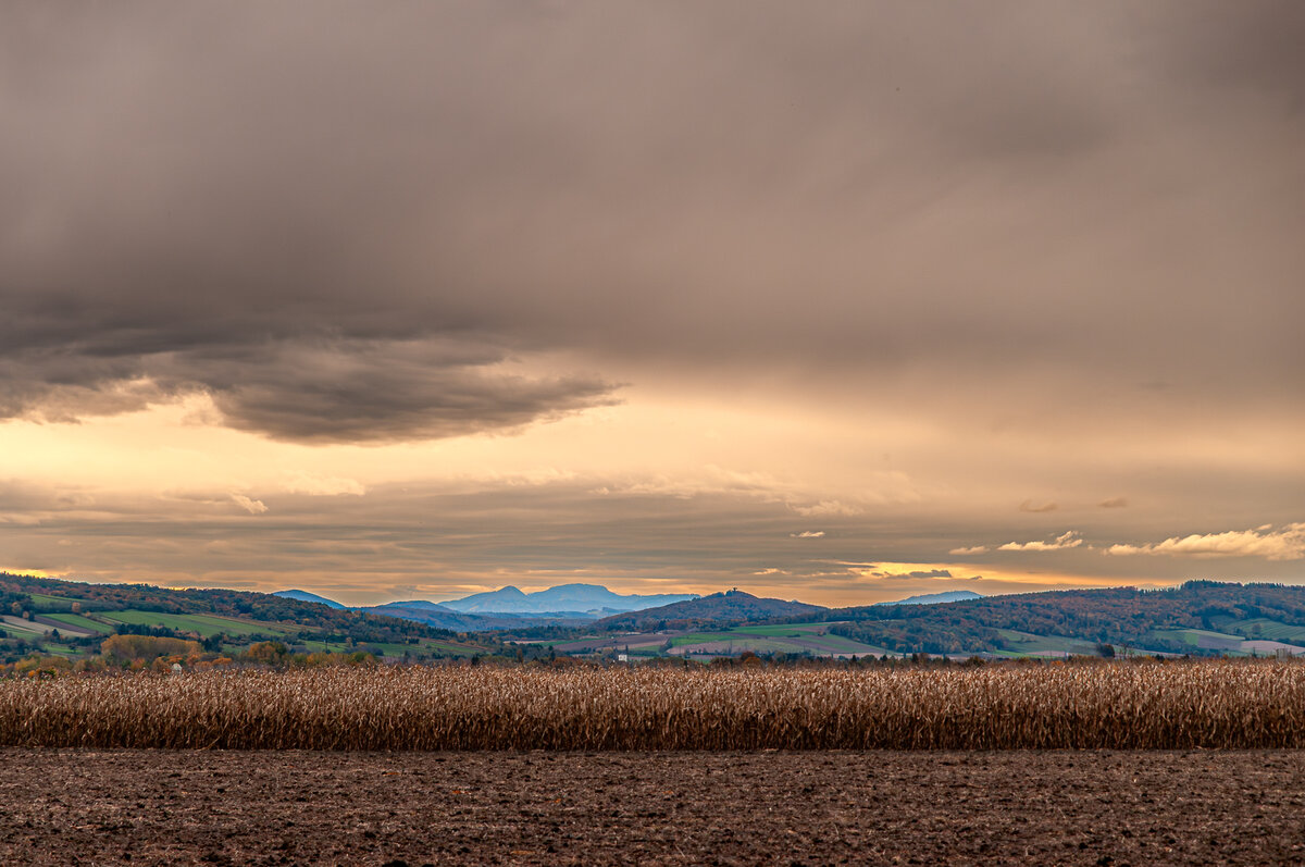2025-10-25_Tulln_Herbstspaziergang_0021.jpg
