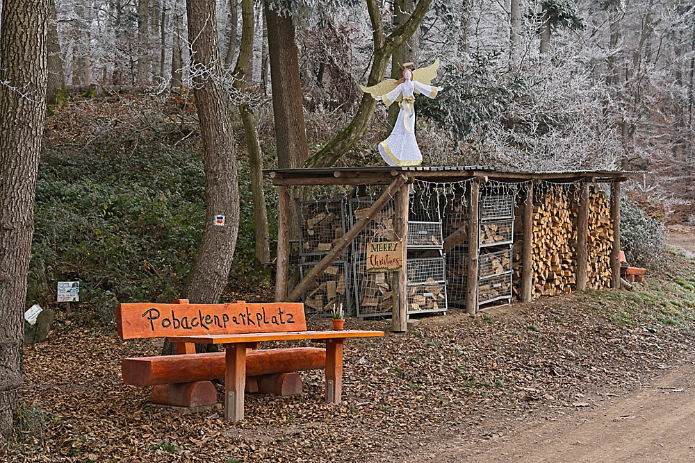 2025-11-23_11-12-39_NIKON Z5_2_061_on1.jpg