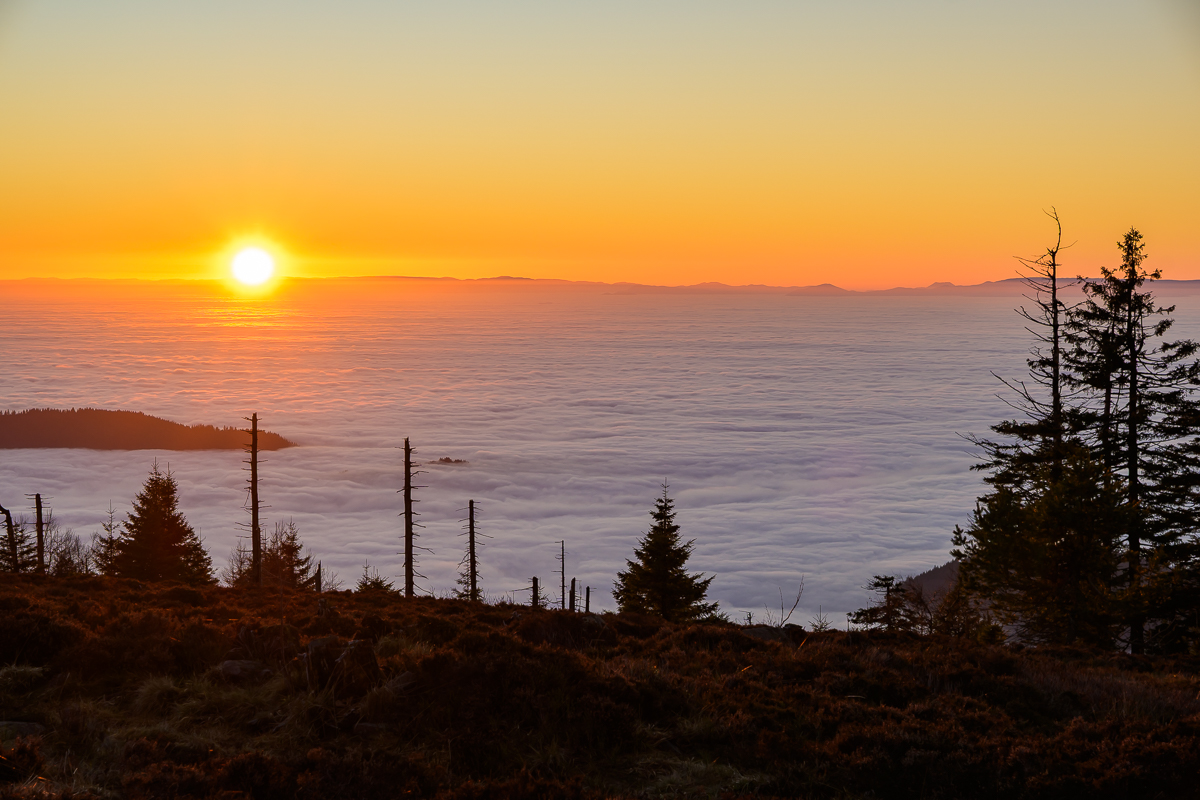 2025-12-14_Z52_2635.jpg