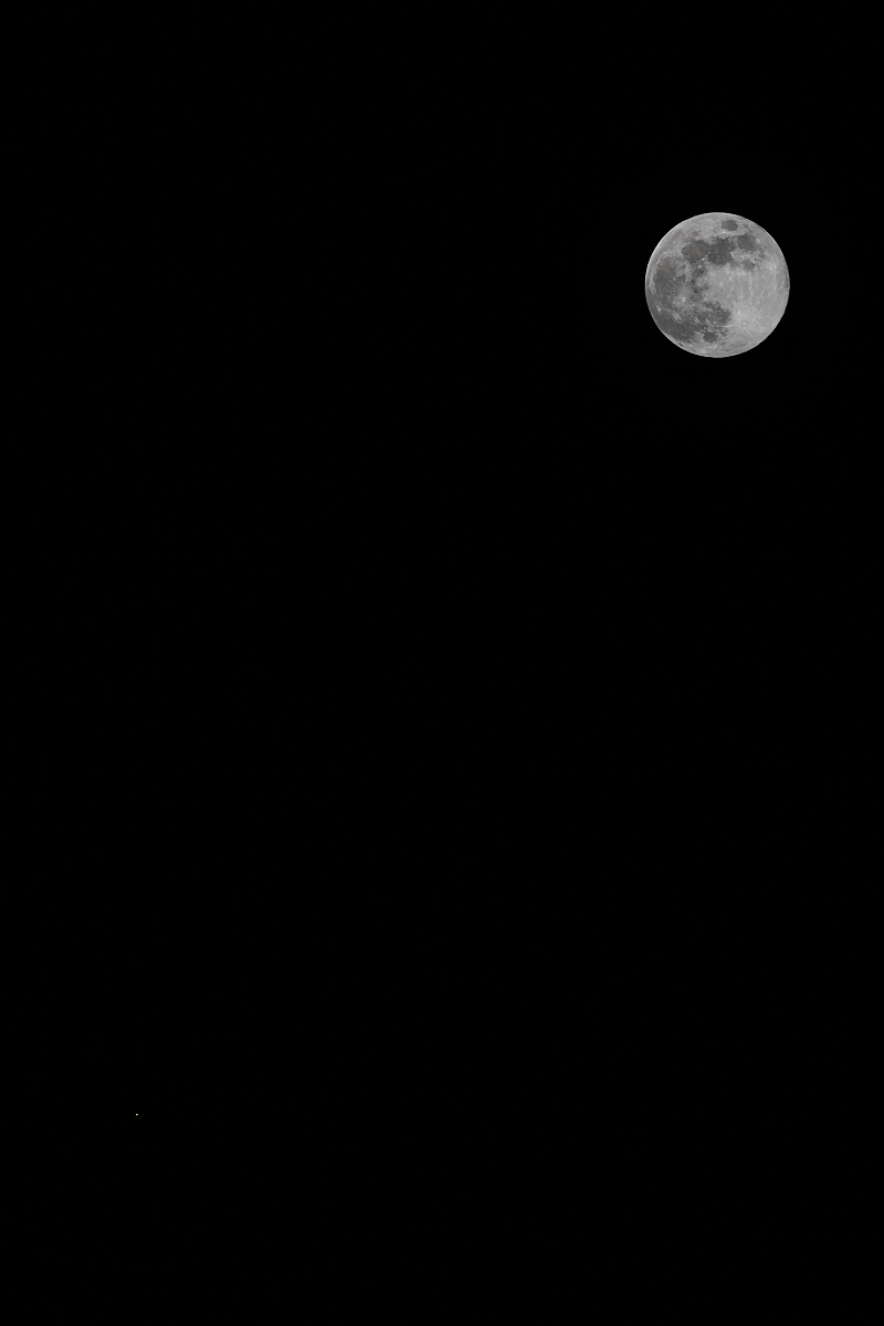 20250113_212937.jpg