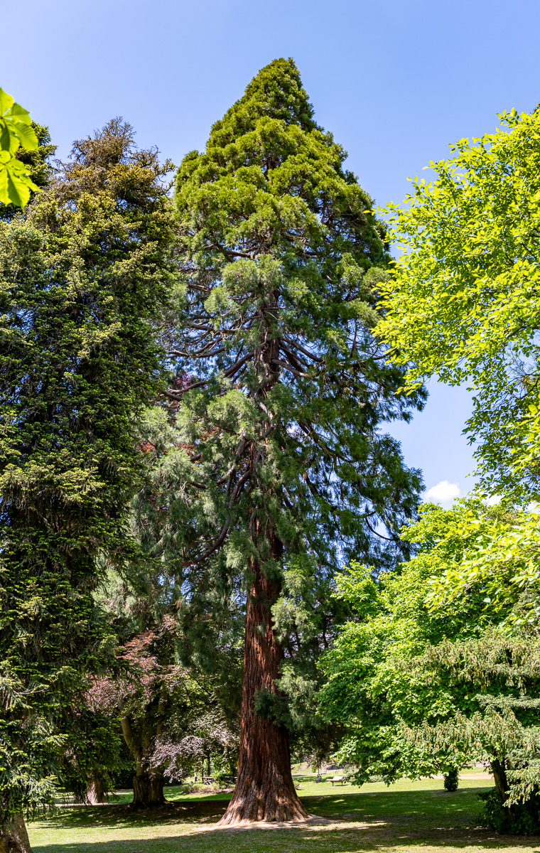 20250517-NZ7_2856-Pano.jpg