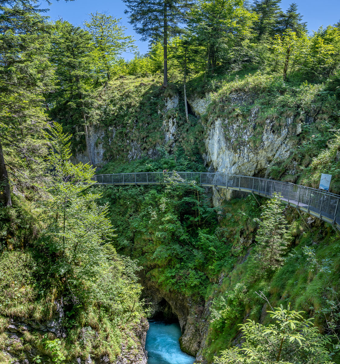 20250624-NZ7_3922-Pano.jpg