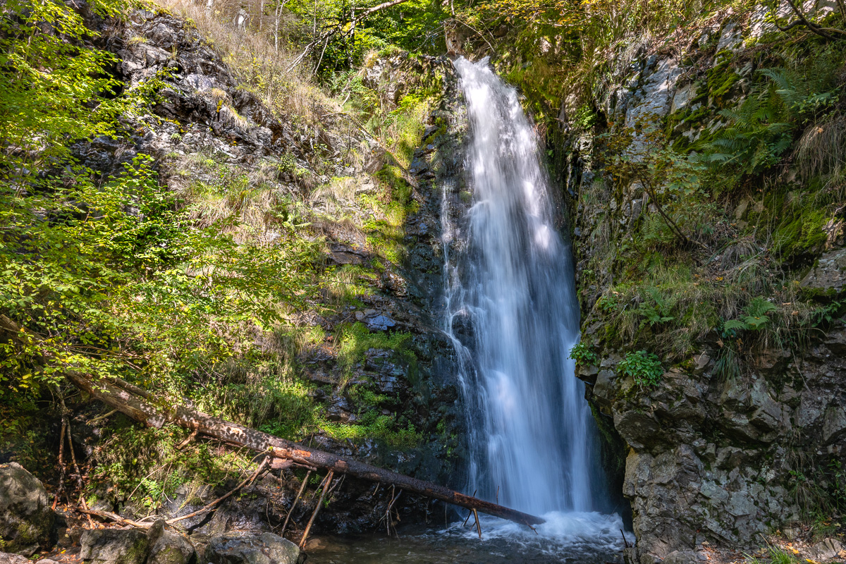20251002-NZ7_4666.jpg