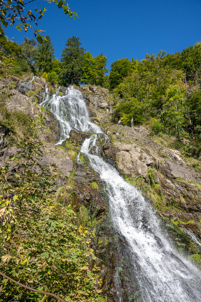 20251002-NZ7_4677.jpg