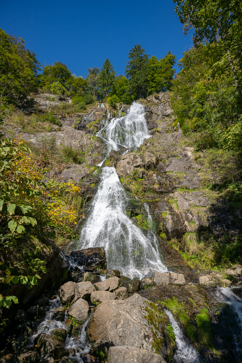 20251002-NZ7_4679.jpg