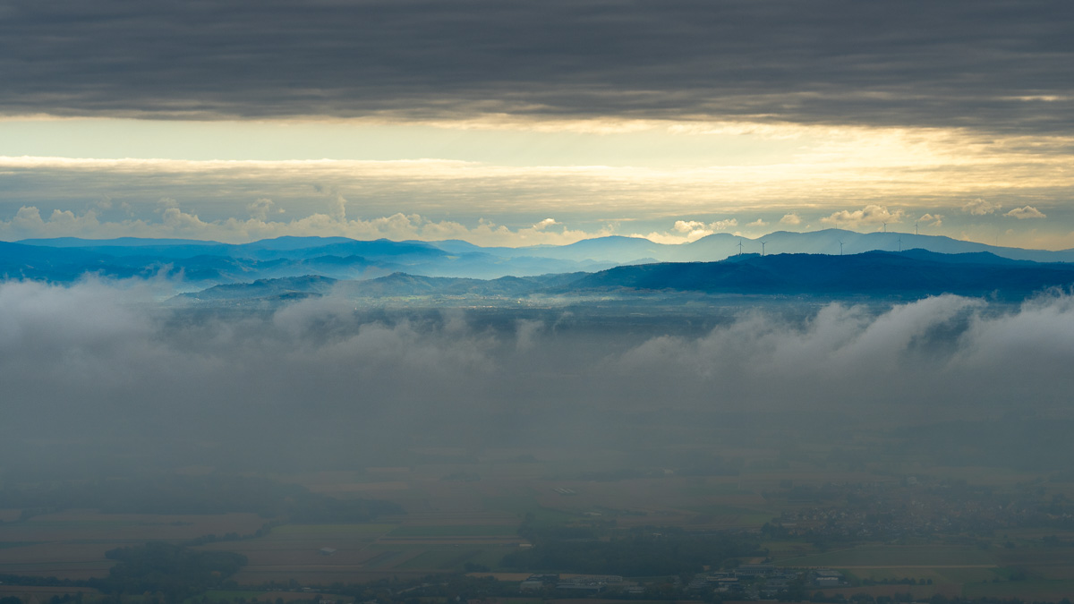 20251017-NZ7_4954.jpg