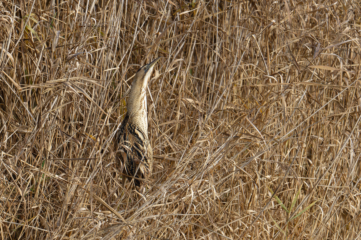 2025_088876_DxO.jpg