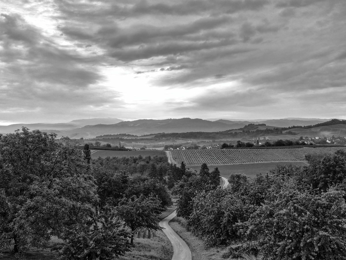 2025_10_23__DJI_20250603060154_0023_D_LN.jpg