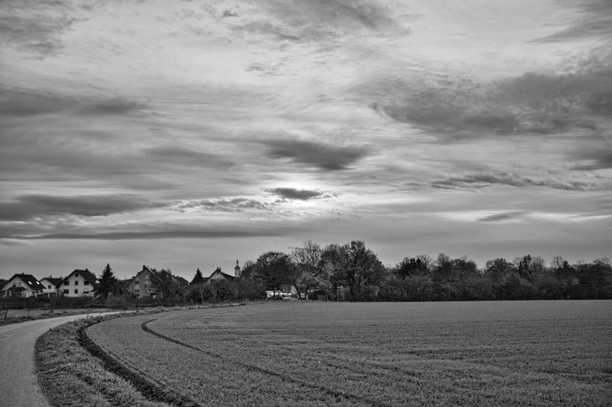 2025_11_24__2019_10_31_Z61_9580.jpg