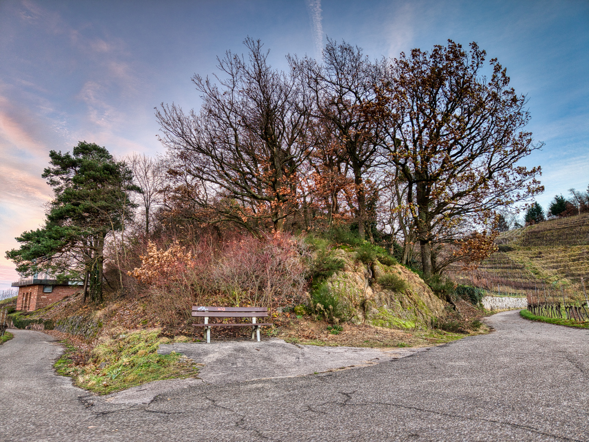 2025_12_02__2025_12_02_080112_0097_D_hdr.jpg
