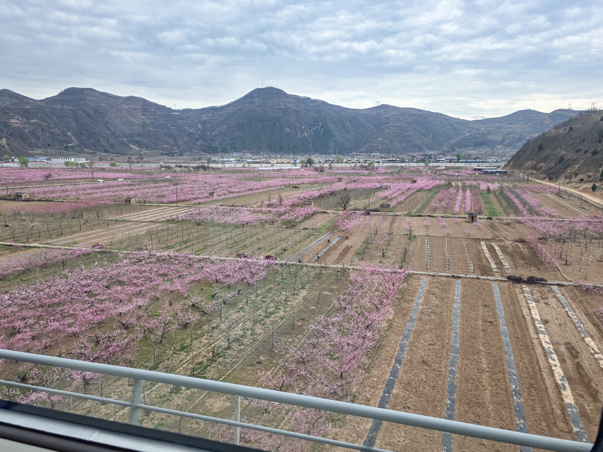 2026-04-02 04 Train to Xining.jpg