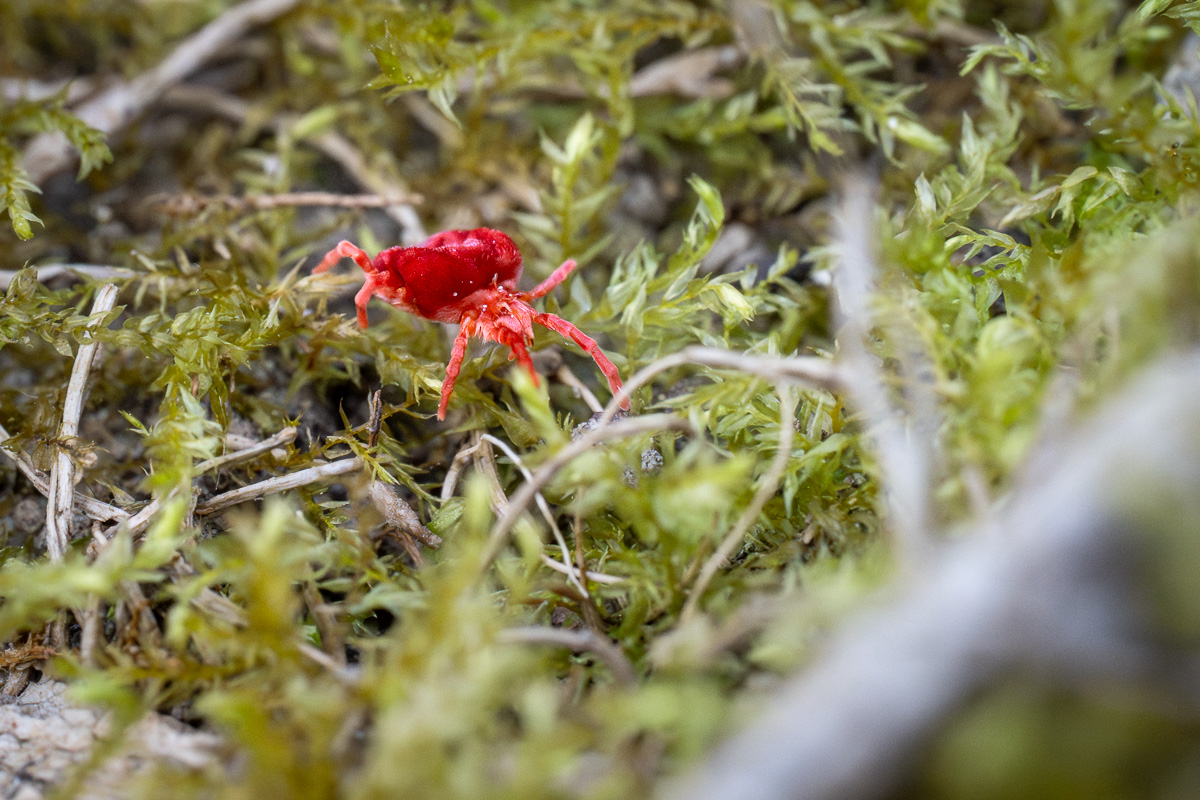 20260307-NZ7_5243.jpg
