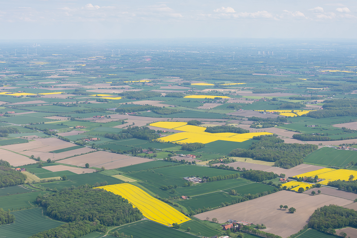 20260502 Münsterland-7.jpg