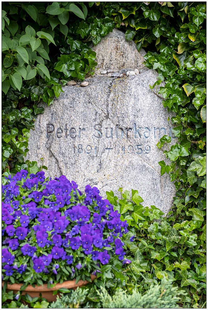 203 Sylt – Keitum Friedhof: Grab vom Verleger Peter Suhrkamp