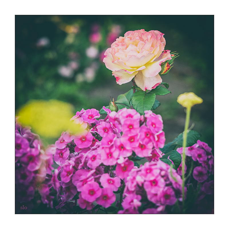 209/365