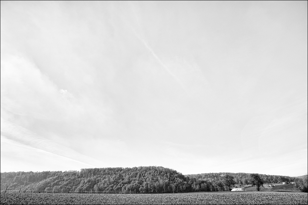20mmDSC 7505