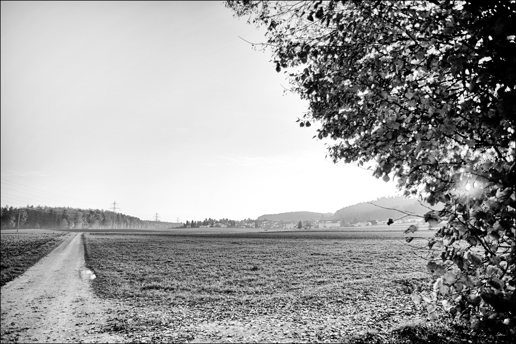 20mmDSC 7509
