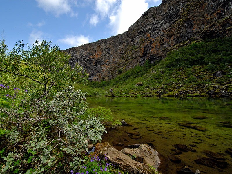 21 Asbyrgi Schlucht