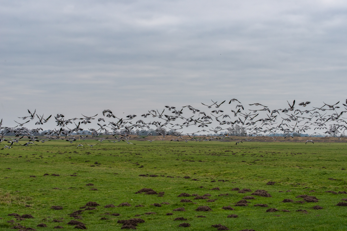 210116 Dedesdorf-1.jpg