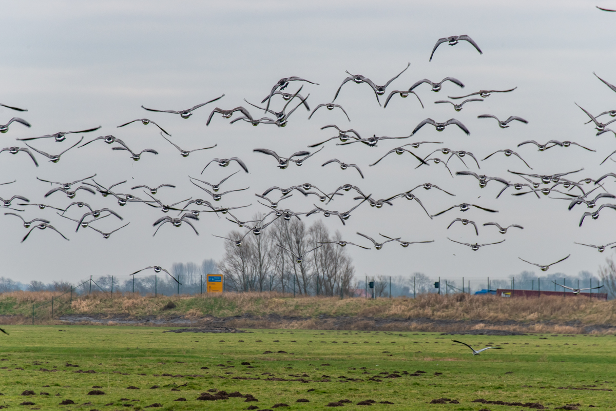 210116 Dedesdorf-2.jpg