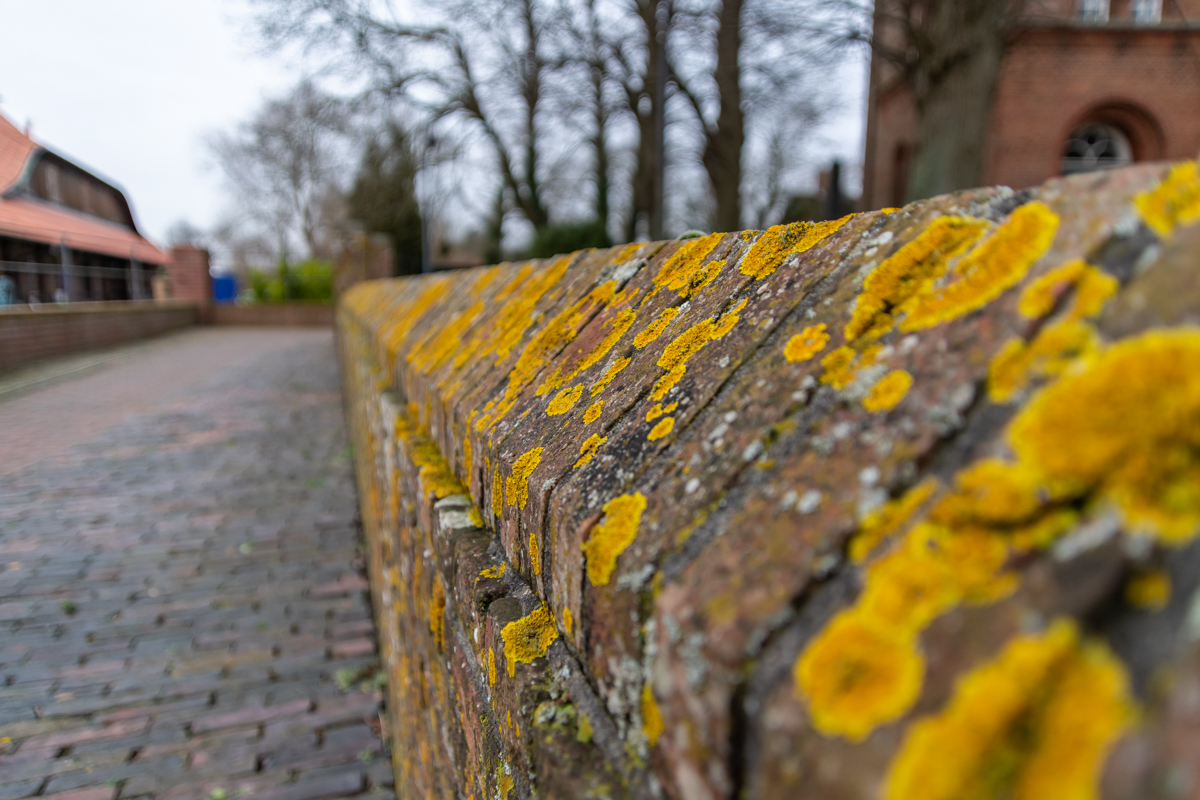 210116 Dedesdorf-7.jpg