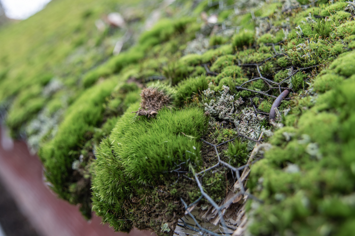 210116 Dedesdorf-8.jpg