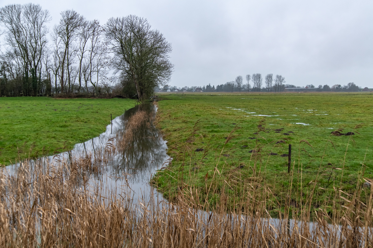 210119 Wiemsdorf-1.jpg
