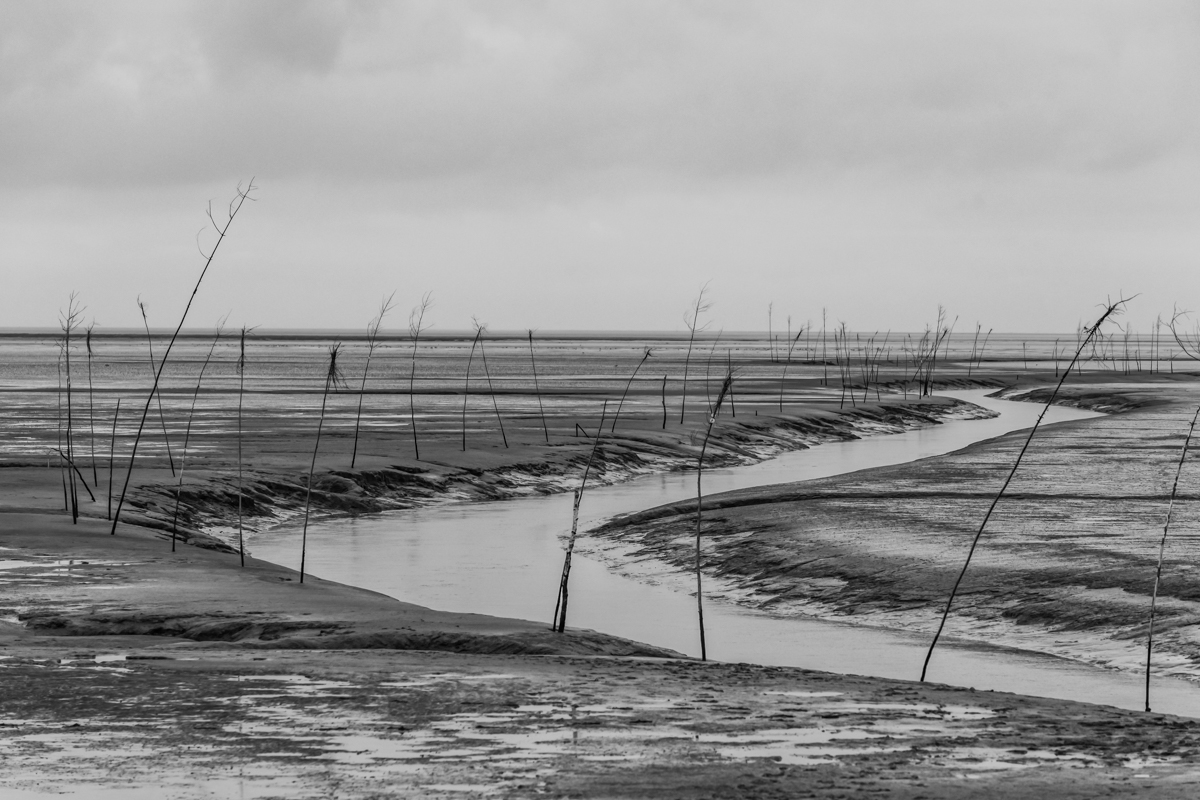 210123 Dorum SW-1.jpg