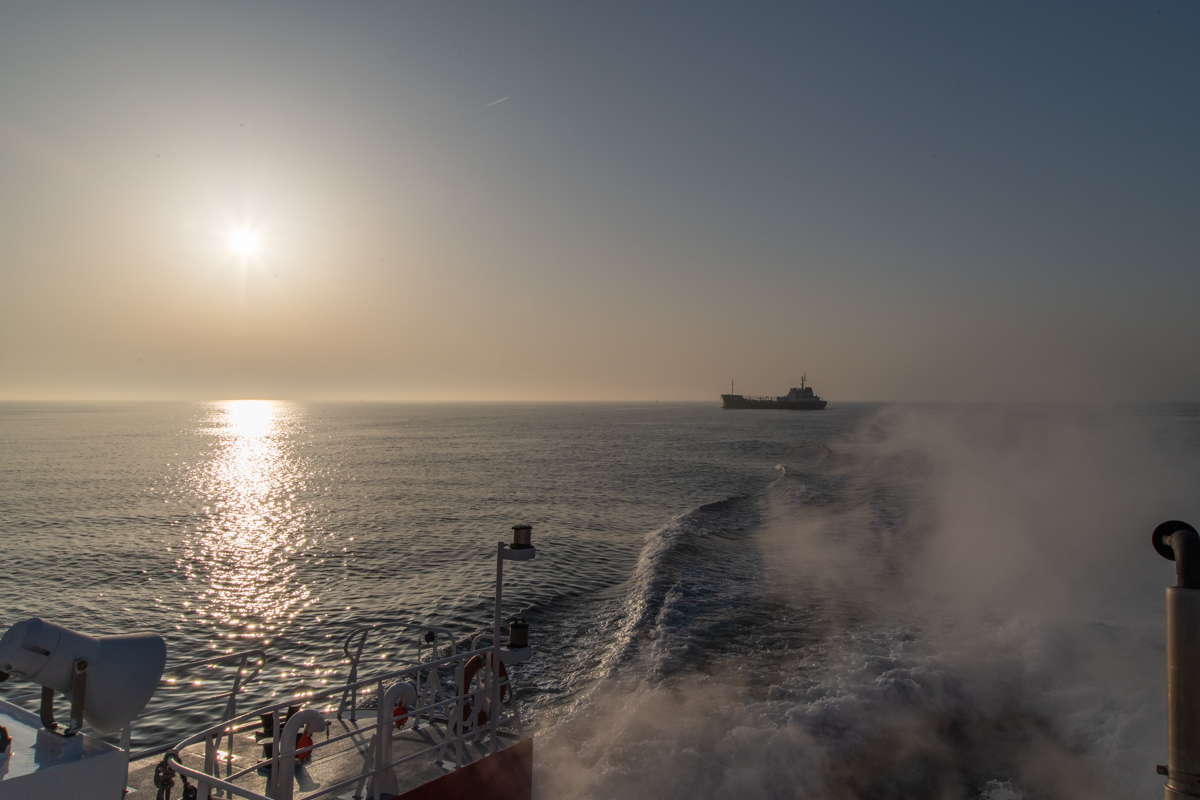 210303 Majestic Maersk Odyssey of the Seas-5.jpg