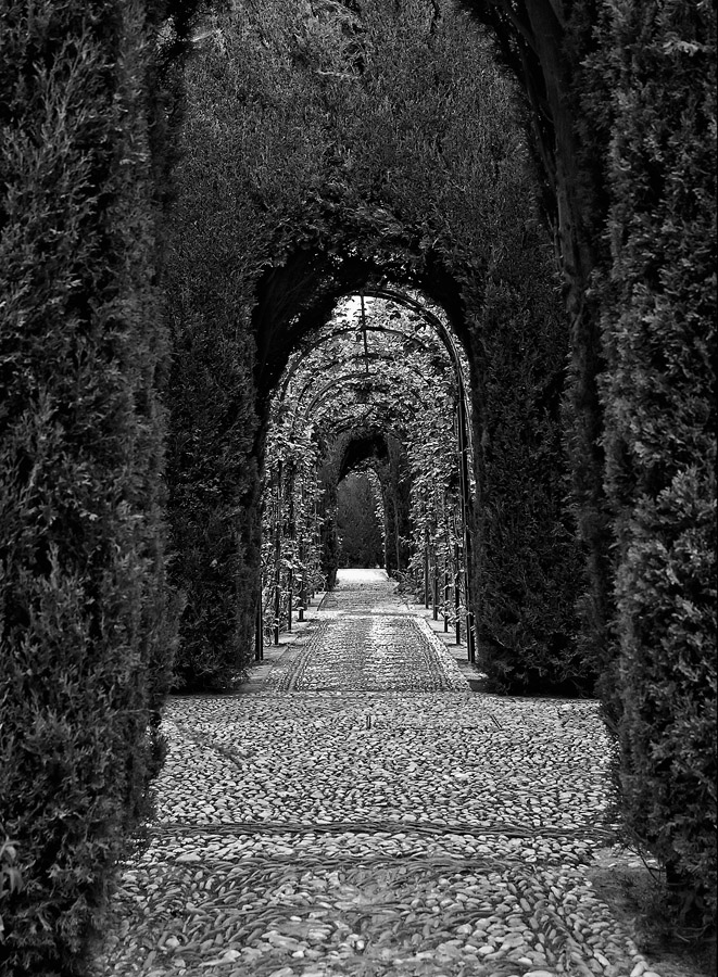 2110405 4427 Allee Alhambra Granada