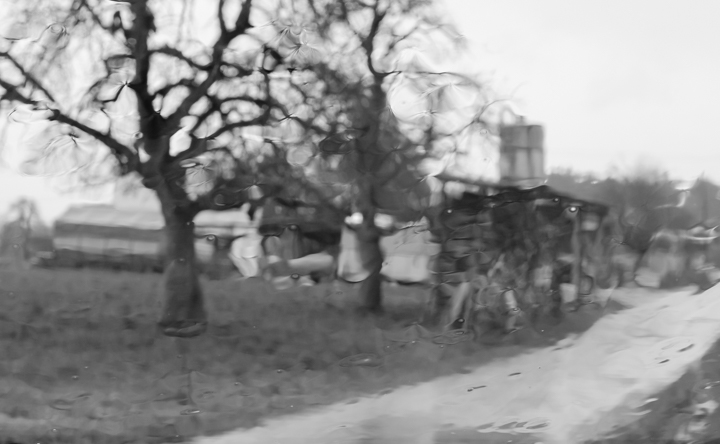 212/365