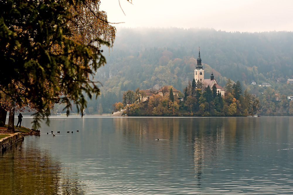2121025 0131c Bled
