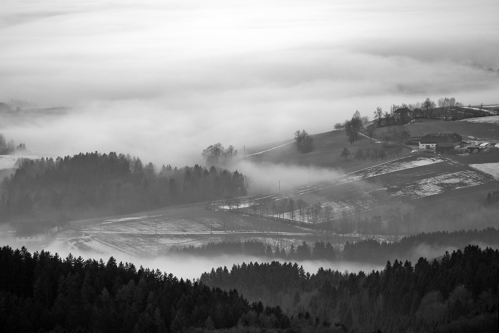 2121225 7406b sw Eidenberg Alm Nebel