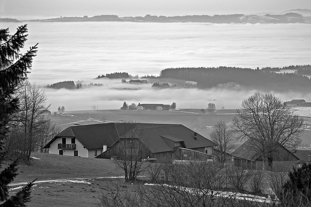 2121225 7415 sw Eidenberg Alm Nebel