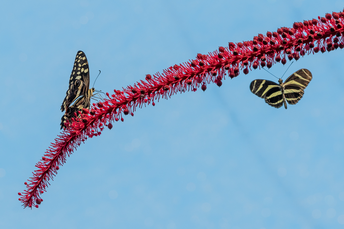 220809-026.jpg