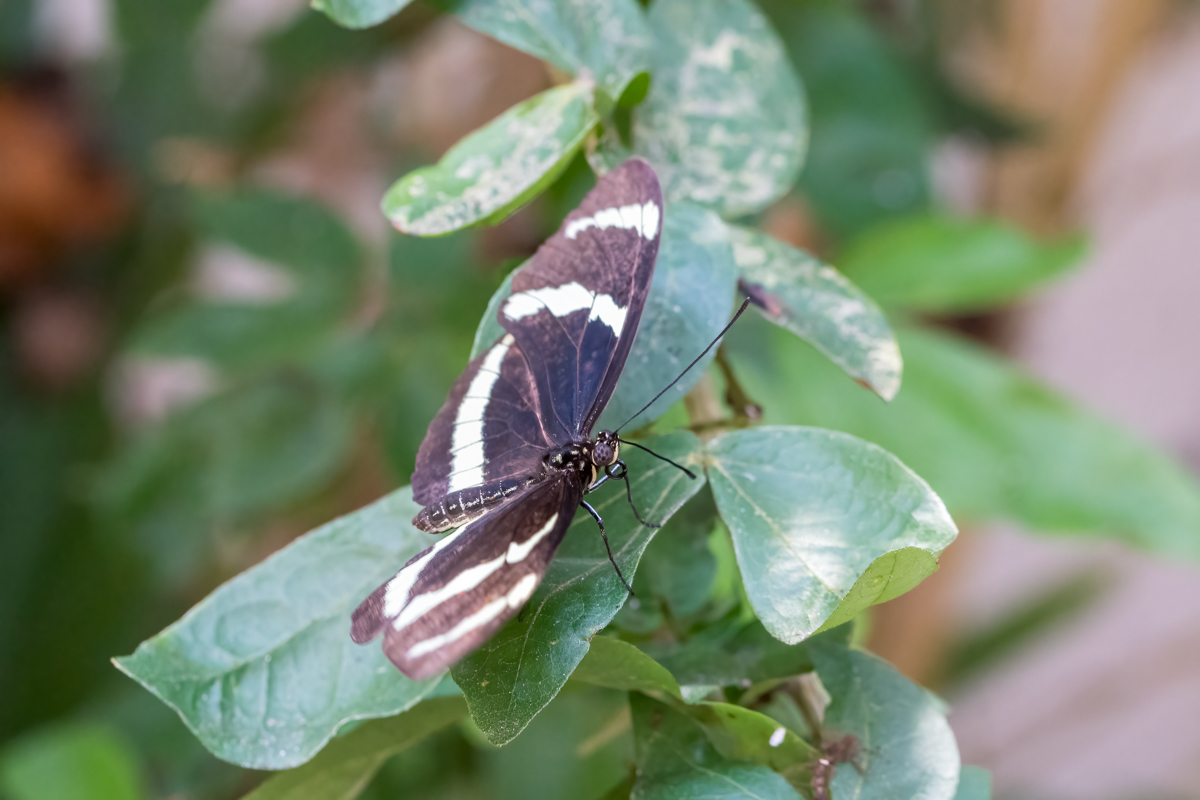 220809-028.jpg