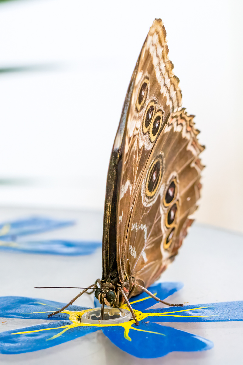 220809-037.jpg