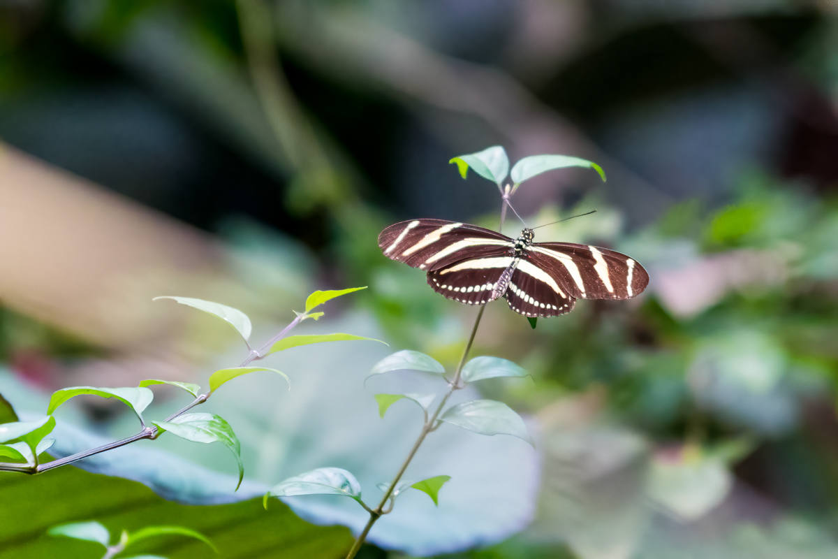220809-042.jpg