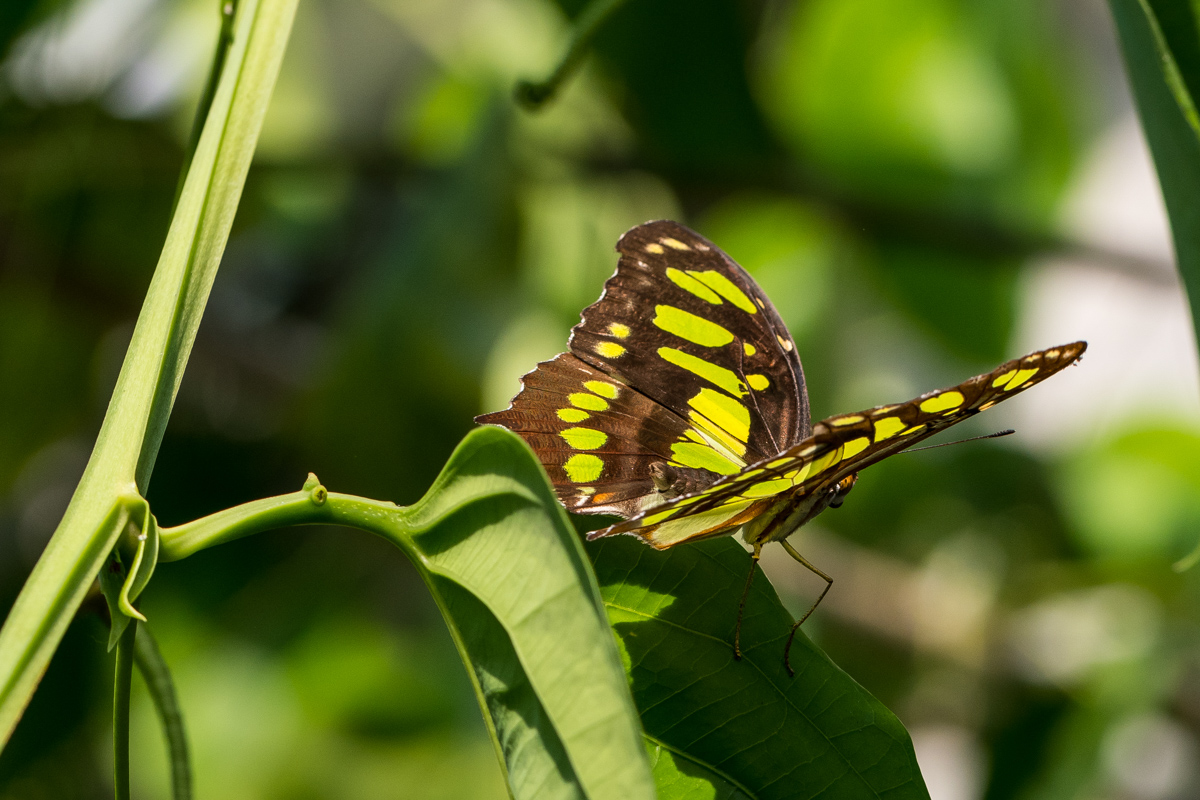 220809-044.jpg