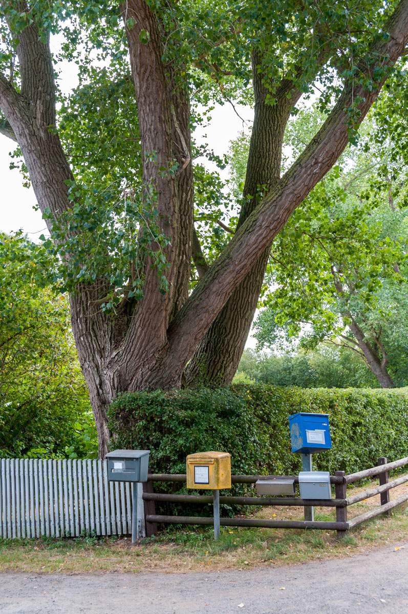 220830-004.jpg