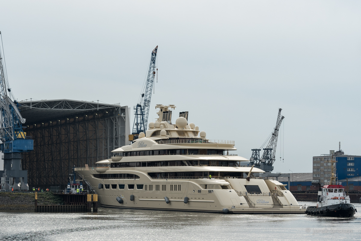 220923-Dilbar-102.jpg