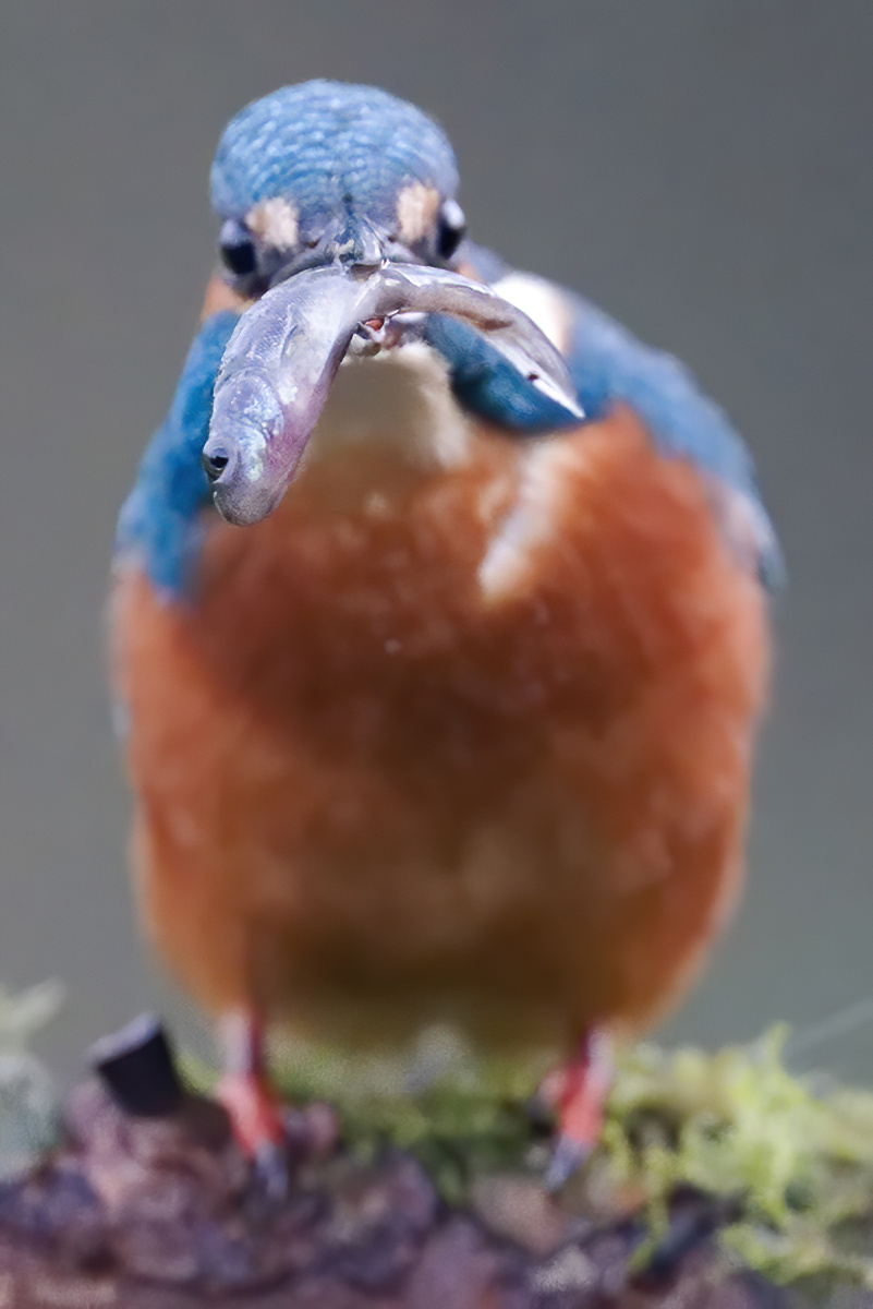 23 400mm f-2.8.jpg