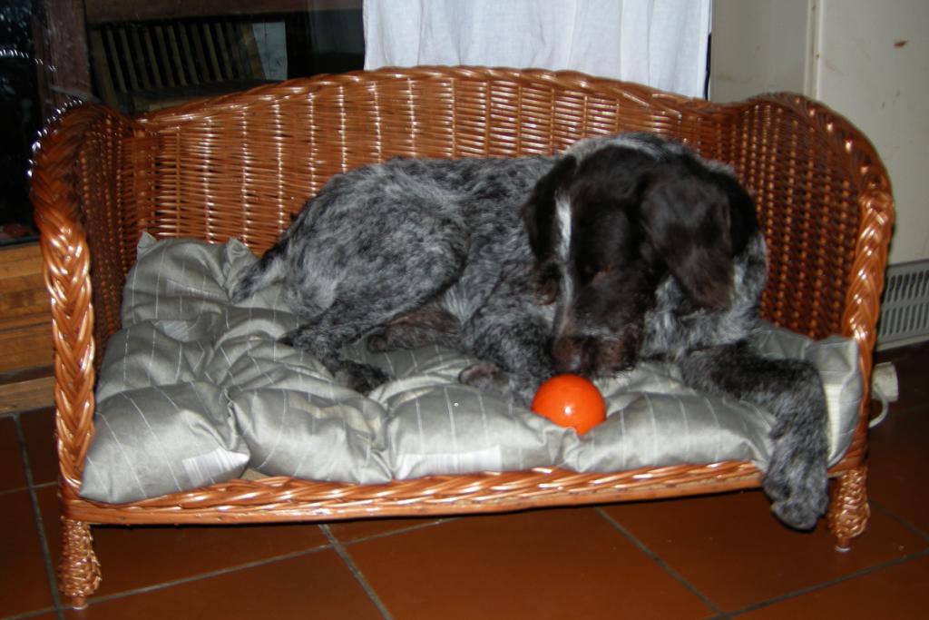 23 Oktober 2012 Oskar