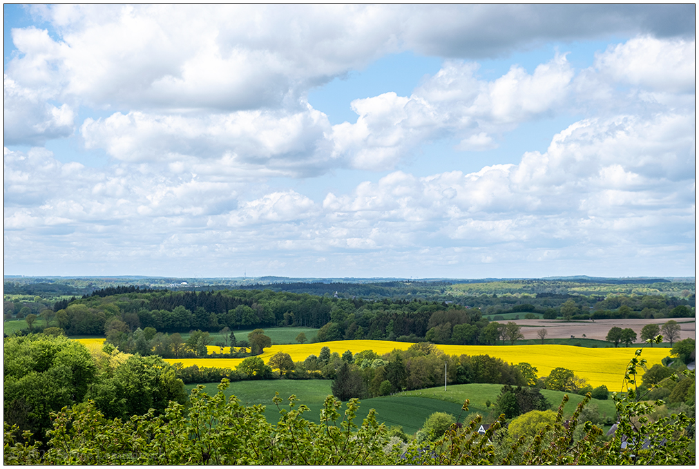 230 Schleswig-Holsteinische Schweiz – Blick vom Holzbergturm bei Malente I