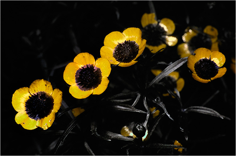23042007 UV 0054 klein